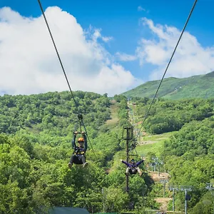 https://forest-estate.hokkaidohotelsjapan.com